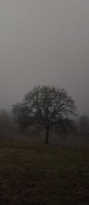 «Завещание»
«Но я не забыл, что завещано мне
Воскреснуть. Вернуться в Россию — стихами.

Худшего поэта, чем я, вы не найдёте.
И лучшего — тоже.

Читайте меня. Сейчас или никогда».

#Поэзия #РусскаяЭмиграция